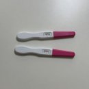 양구군보건소 | [임신 5주차] 양구군 보건소 / 보건소 임산부 등록, 임신축하선물