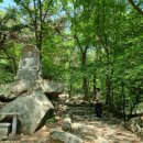 예산-09 이미지