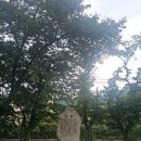 북한산로387번길 이미지