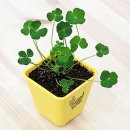 화원고등학교 이미지