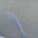 천지연낚시터 이미지