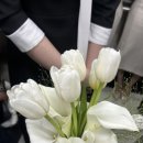 플로리모라