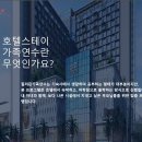 스테이인 호텔 봄 이미지