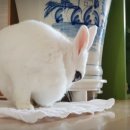 도형목욕탕 이미지