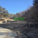 보광리경로당 네이버블로그