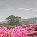 남구-44 이미지