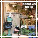 {대전 선화동} 초록 초록 &#34;봉봉농원 묘목 식물 카페&#34;