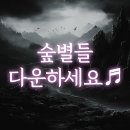 박수세번시작 Daum카페