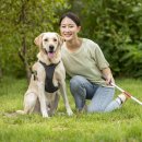 나의 단짝 반려동물 이미지