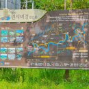 동강오리알 이미지