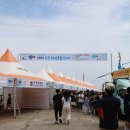 보목 | 5월 제주도축제 보목 자리돔축제 후기