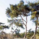 이야기가 있는집 이미지