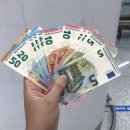 동행약국 | 유로 환전 방법 꿀팁,유럽여행 동행 후기