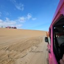 진도목장 | 나트랑 4일차 판랑 사막투어 후기 (무이네 대신 선택한 이유)