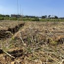 토지농장 이미지