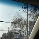 화원로 | 화원 불맛 야끼우동 오복반점 점심시간 줄 서서 먹는 달성군 중식 맛집 후기