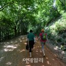 계족산황톳길 이미지