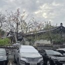 샛별부동산공인중개사사무소 이미지