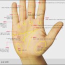 손 안의 우주… 손금에 우리네 인생사가 다 담겨 있네 이미지