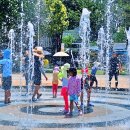 대림레포츠 이미지