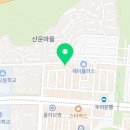 그럼에도불구하고꽃 이미지