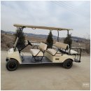 토탈카클럽 | 골프카·골프카트 전문 스탠다드글로벌, 클럽카 렌트와 전동카트 판매까지 한 곳에서!