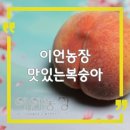 이언농장 이미지