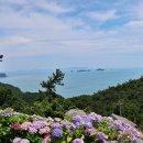 운림산방주차장 이미지