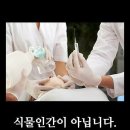 식물인간 과 뇌사의차이~,,🐾🐾🐾 이미지