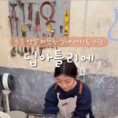 딥아틀리에 이미지