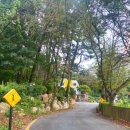 지에스(GS)금곡역주유소 이미지