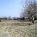 오봉초등학교 이미지