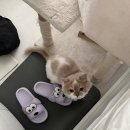 하이짐 까치산점 | [ 강서구 / 까치산 ] 까치산헬스장 하이짐pt 까치산점 1:1 PT 후기