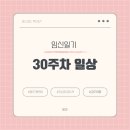 결정, 배크기, 태동, 스토케 트립트랩 도착, 바구니 카시트 당근, 손 붓기 최고조, 경주 결혼식겸 여행)