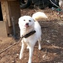 철환농장 Daum카페