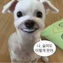 에이블런 이미지