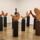 공존의표상 이미지