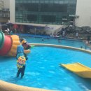 송추워터피아 이미지