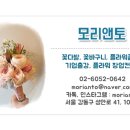 모리앤토