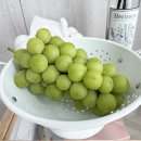 마고농원