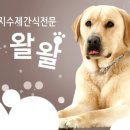 WALWAL(왈왈) 이미지