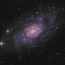 NGC 2403을 관찰한다. M33 닮은 꼴 이미지