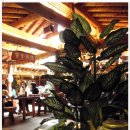 풍물기행 이미지