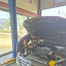 예스카센타 이미지