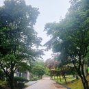 마니산(기도원) | 기(氣)가 가장 센 산! 마니산 등산기