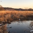 마음정원 이미지