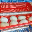 서포오리농장 이미지