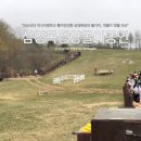 구령목장 | 대관령 삼양목장 양몰이공연 완전 꿀잼 공연 시간 및 장소