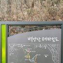 지도 왕벚나무길 이미지