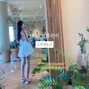 6164 | 대전에스테틱 스킨앤토크 붓기 200% 빠지는 하체관리 앤더몰로지 후기